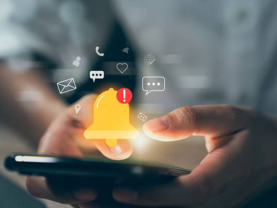 Istockphoto 1497616582 612x612