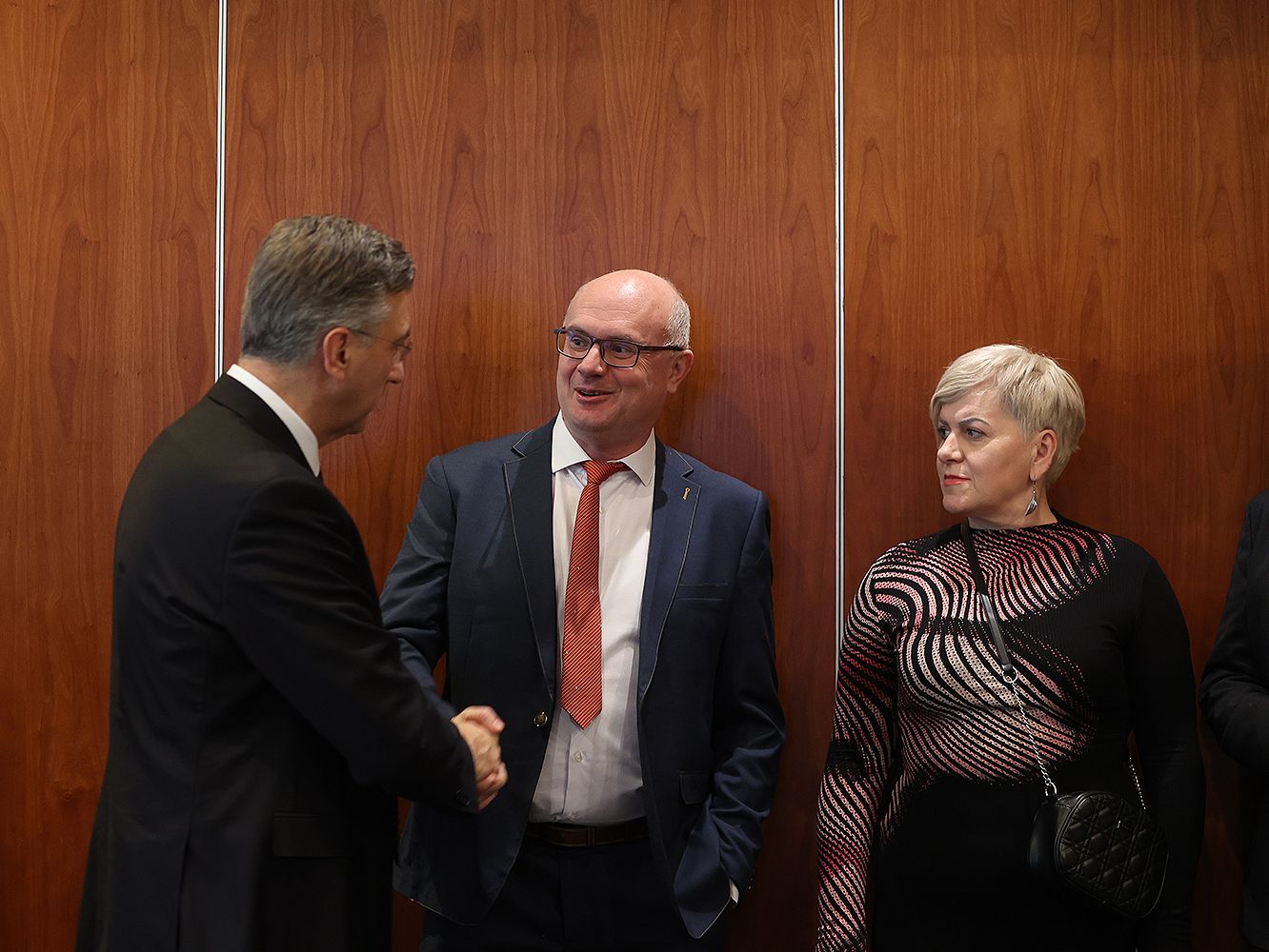 Dubrovnik Zupani I Premijer 266