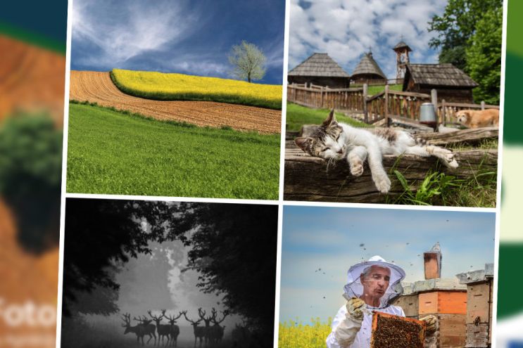 Kola 4 Najbolje Ruralne Fotografije 2023