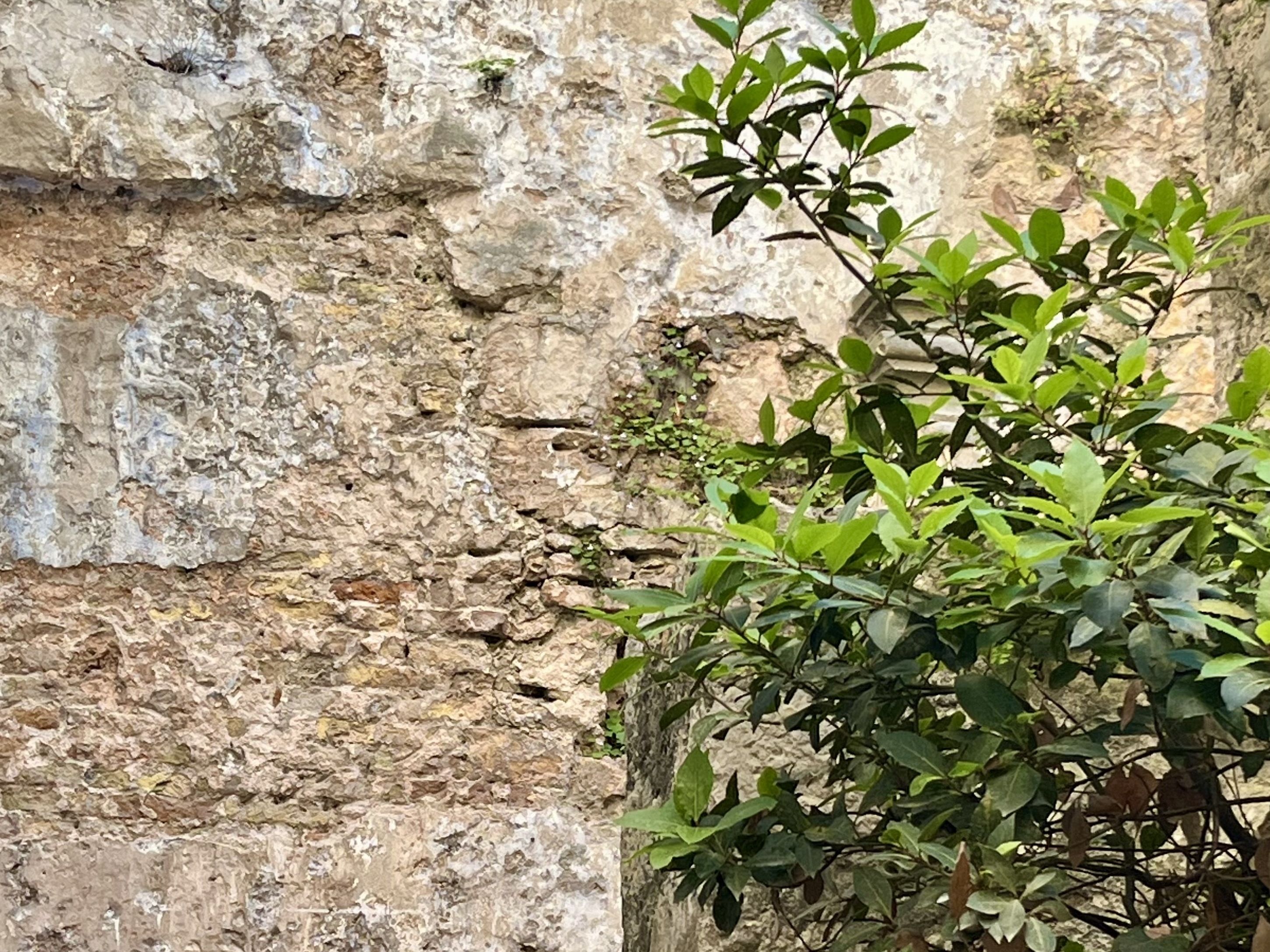 2 Hr Dubrovako Nerevanska Kod Kue Unutar Starih Zidina