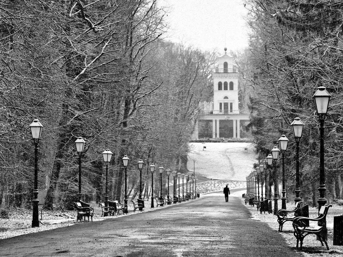 Zg Bojan Beni Maksimir