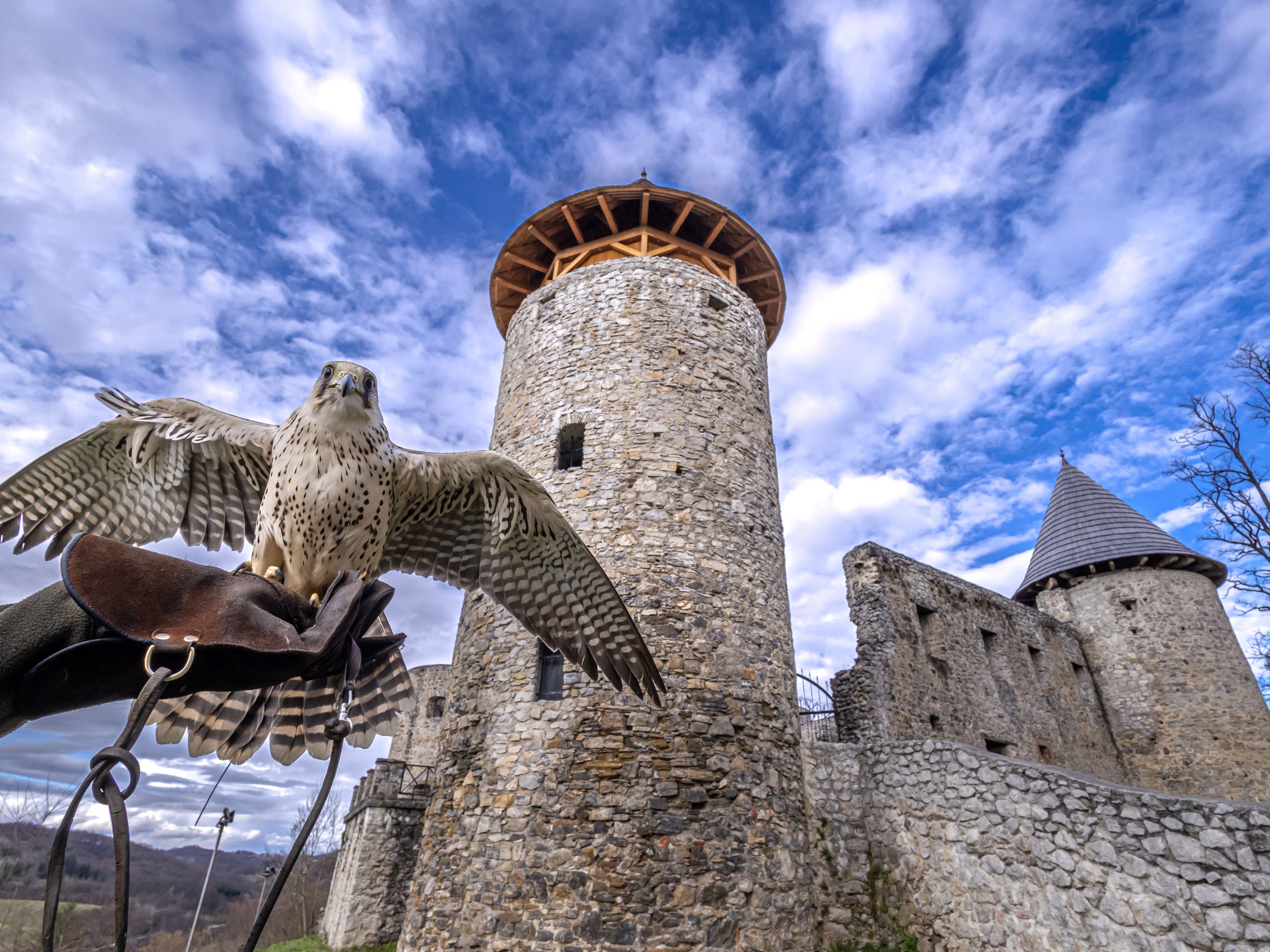 Dinko Neskusil Stari Grad Novigrad Na Dobri Kaup